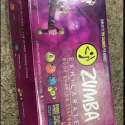Zumba sticks