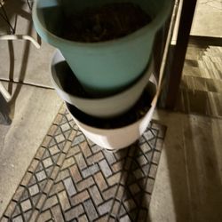 Flower 🌺 Plant 🪴 Pots