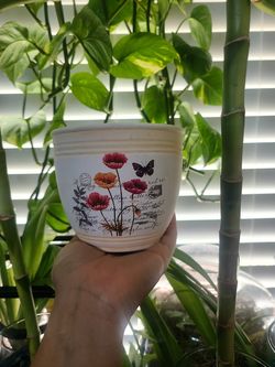 New Planters or flower pots