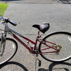 Bike, Women's 21 Speed