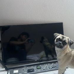 Roku Tv 28x24