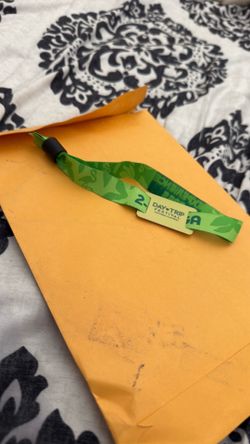 Day trip 2-day GA ticket