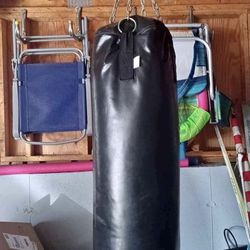 Huge Punching Bag !