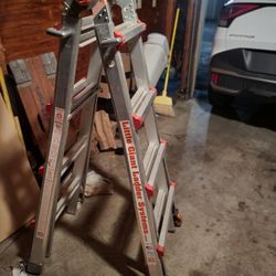 Extendable Ladder 