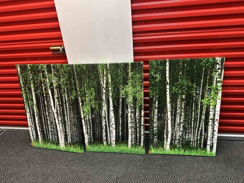 Pictures 3 Piece Canvas Wall Art-Beautiful Swedish Summer Landscape with Grove of Birch Trees -Modern Home Art Stretched and Framed - 24"x36"x3 Panels
