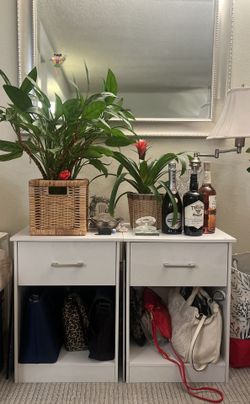 Pair of Nightstands Side Table