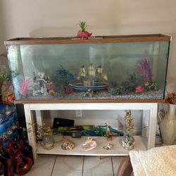 Fish Tank Or You Can Use It For Reptiles Also, 5 Ft Wide By 25 Inch Tall , 12 Inch Side 