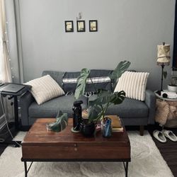 Small 70” Gray Couch