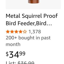 Bird Feeder