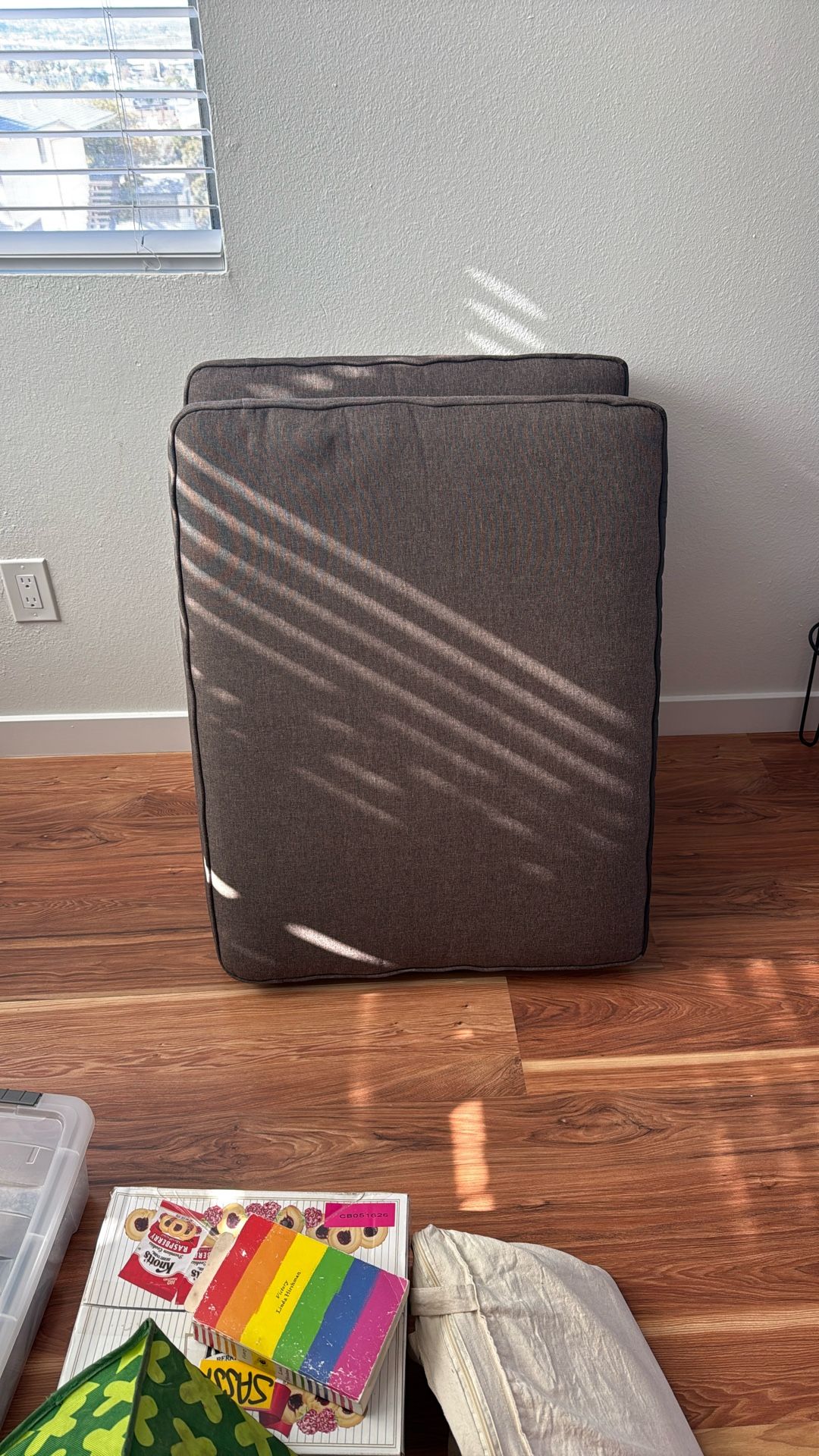 Two big Couch Pillows