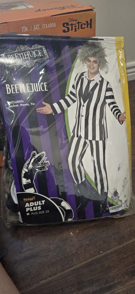 Beetlejuice Costume
