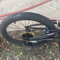 Bicycle 