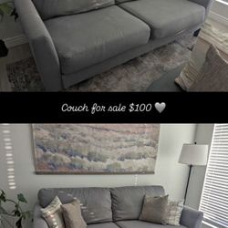 Gray Couch 