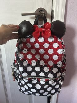Disney Park Bag 
