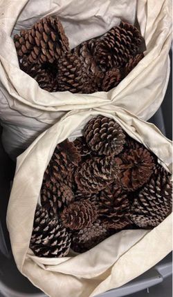 Tamarac. 2 Pillowcases Full of All Size /Big Natural Pine Cones for Crafting. Box NOT included