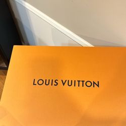 Empty louis Vuitton Bag