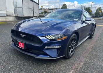 2019 Ford Mustang
