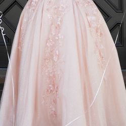 Quinceañera / Sweet 16 Dress