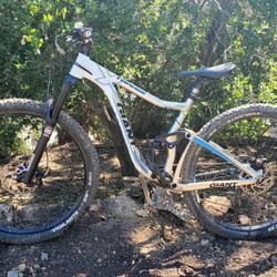Mountain Bike - Giants Trance