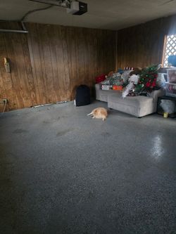 Big Space For Rent