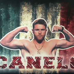 Canelo T Shirt-available In Several Sizes Up To 4xl