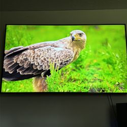 65" Class RU8000 Premium Smart 4K UHD TV (2019)