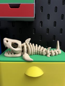 Skeleton Shark