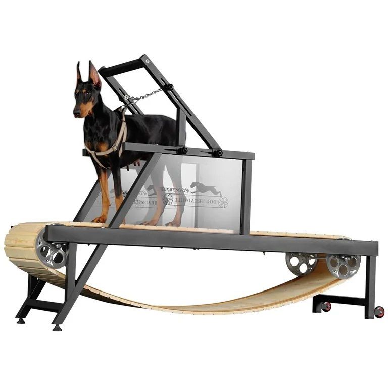 Syedee Dog Treadmill for Large Dogs, Dog Slatmill for Healthy & Fit Dog Life, Dog Treadmill for Indoor & Outdoor. Dog Treadmill for Dogs up to 250 lb