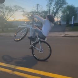 Big Flyer Se 29 Inch / Open To Trades