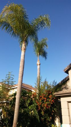 Trimming