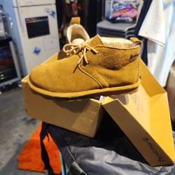 Bearpaw