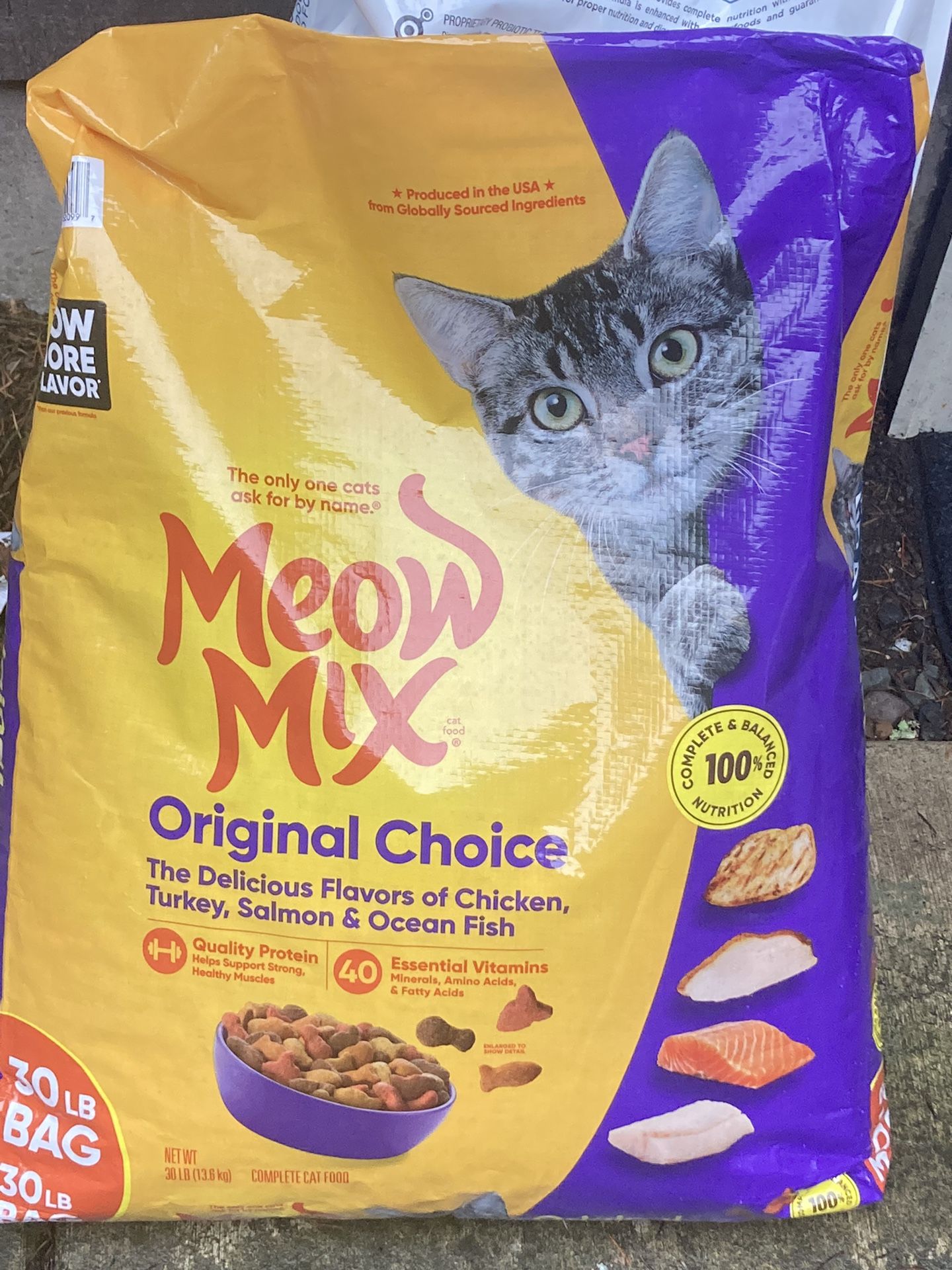 Cat Food