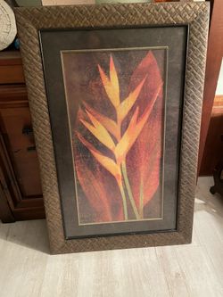 Bird Of Paradise
