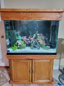 Aquarium Fish Tank