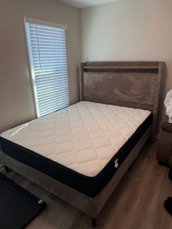 Queen bed and mattress