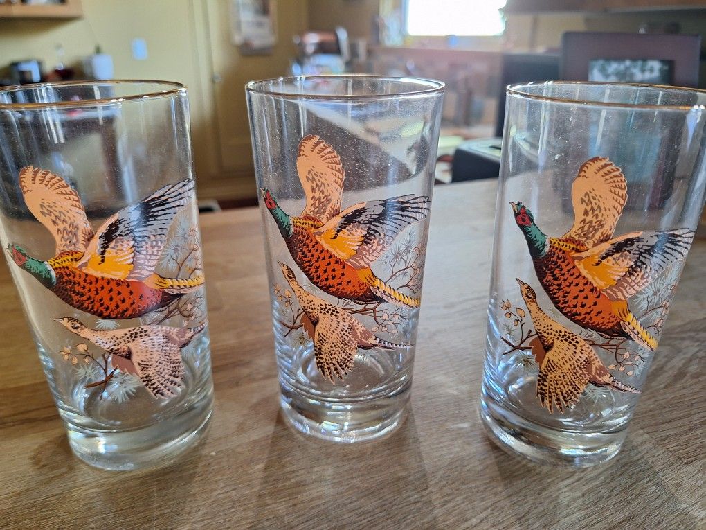 Vintage West Virginia Pheasant Glasses New In Box