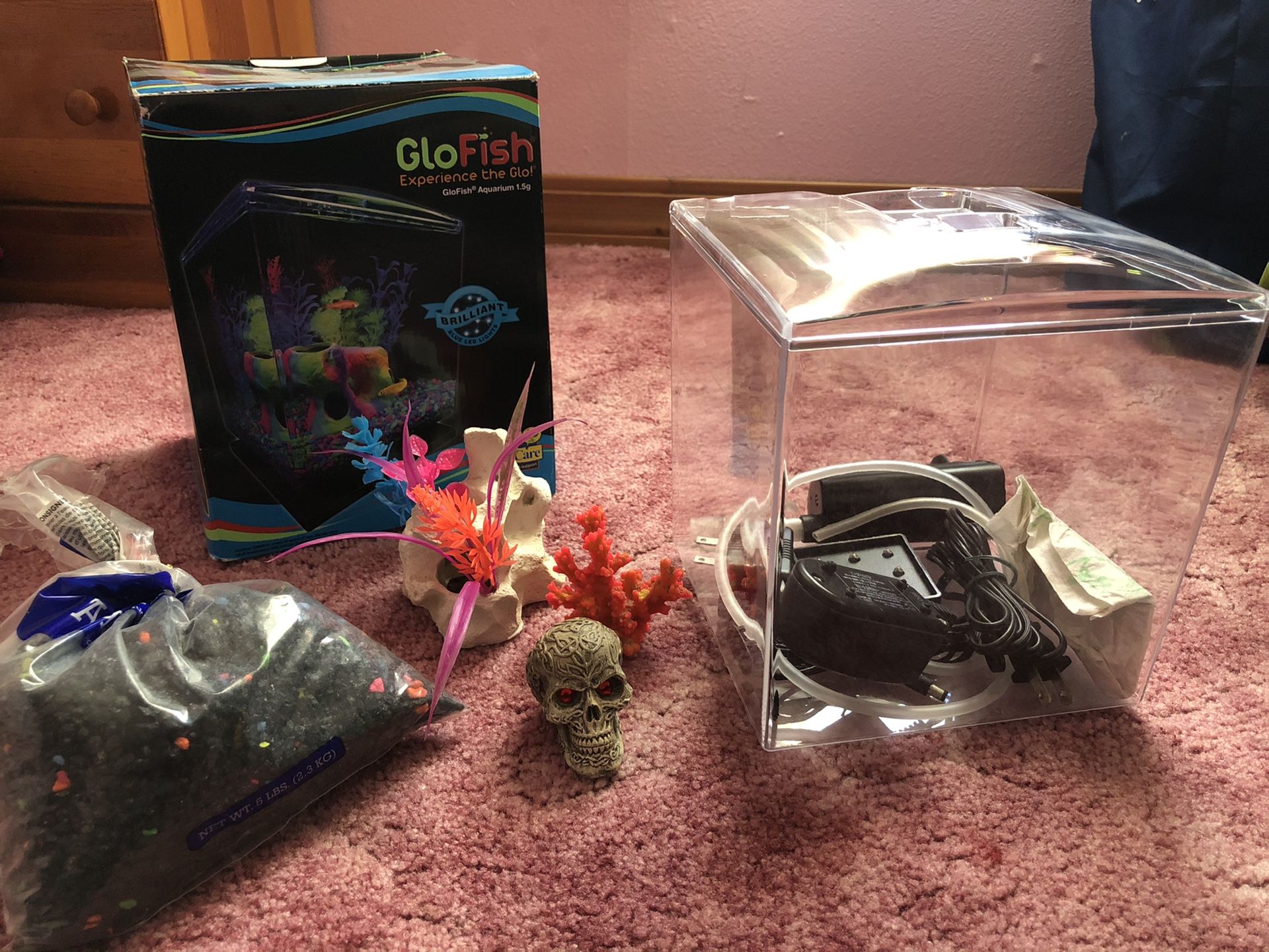 Small GloFish Aquarium