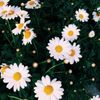 itspita_013
