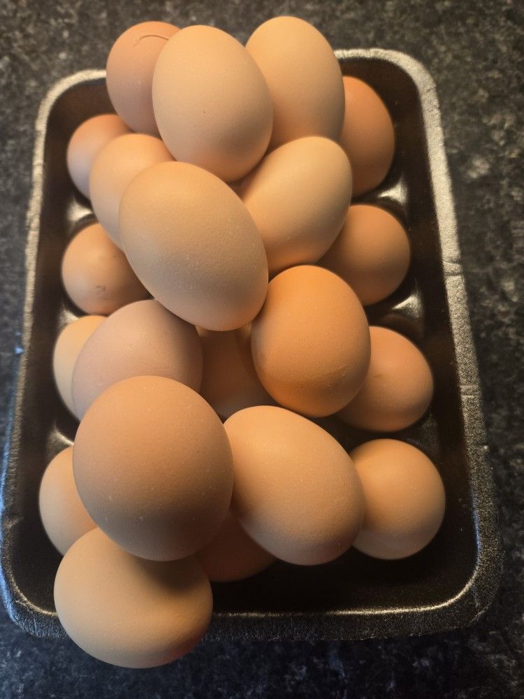 Eggs