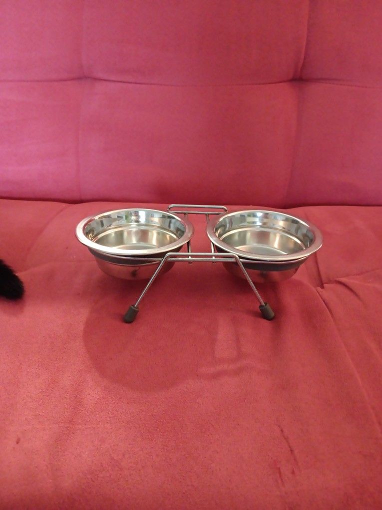 Animal Food Dish