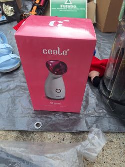 FACE STEAMER