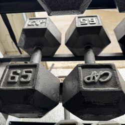 65lb dumbbells 