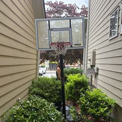 Lifetime Basketball Hoop Goal Net