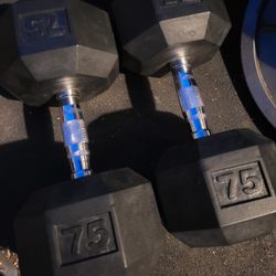 75lbs Dumbells Weights 