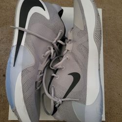 Giannis Antetokounmpo NIKE shoes 