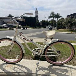 Back To School Special