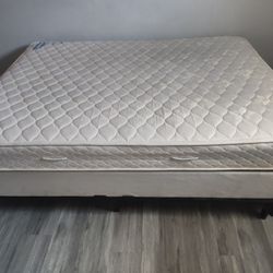 Queen Size Box Spring And Mattress 