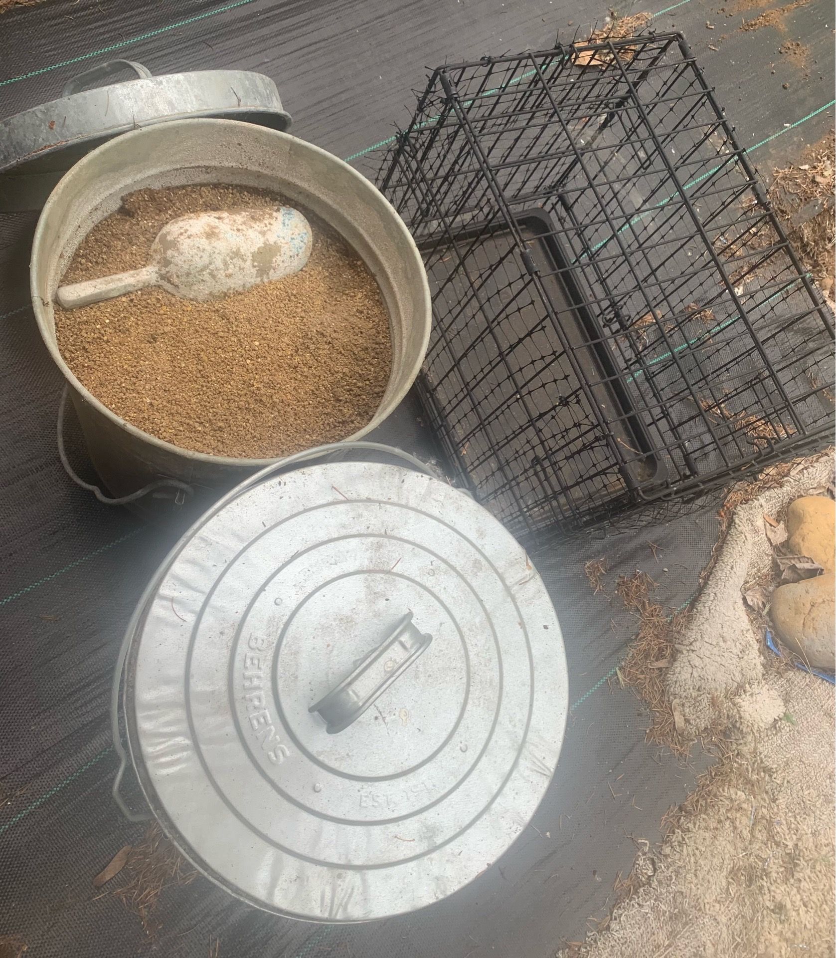 Items for chicken starter