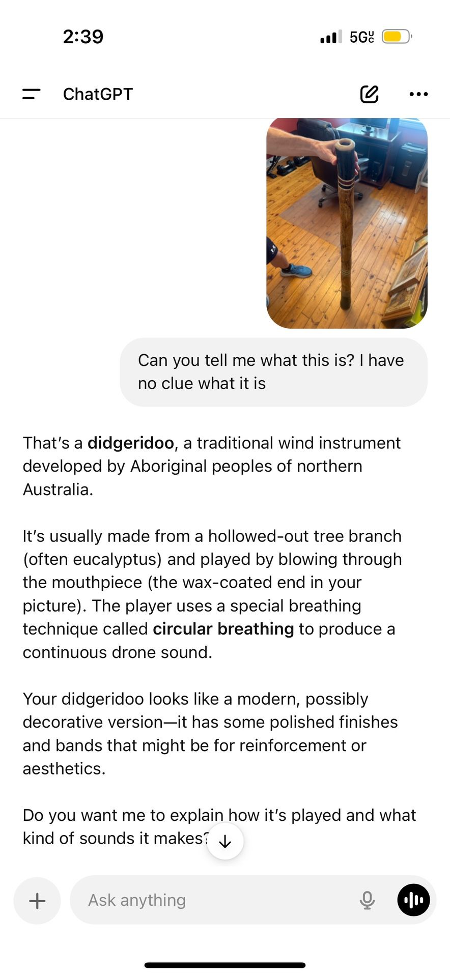 Didgeridoo