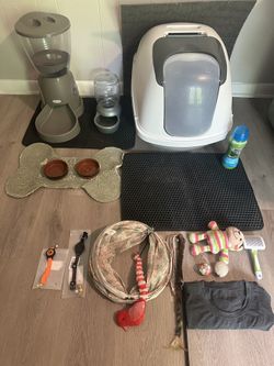 Kitten/Cat Supplies Bundle with Lots Of FREE items